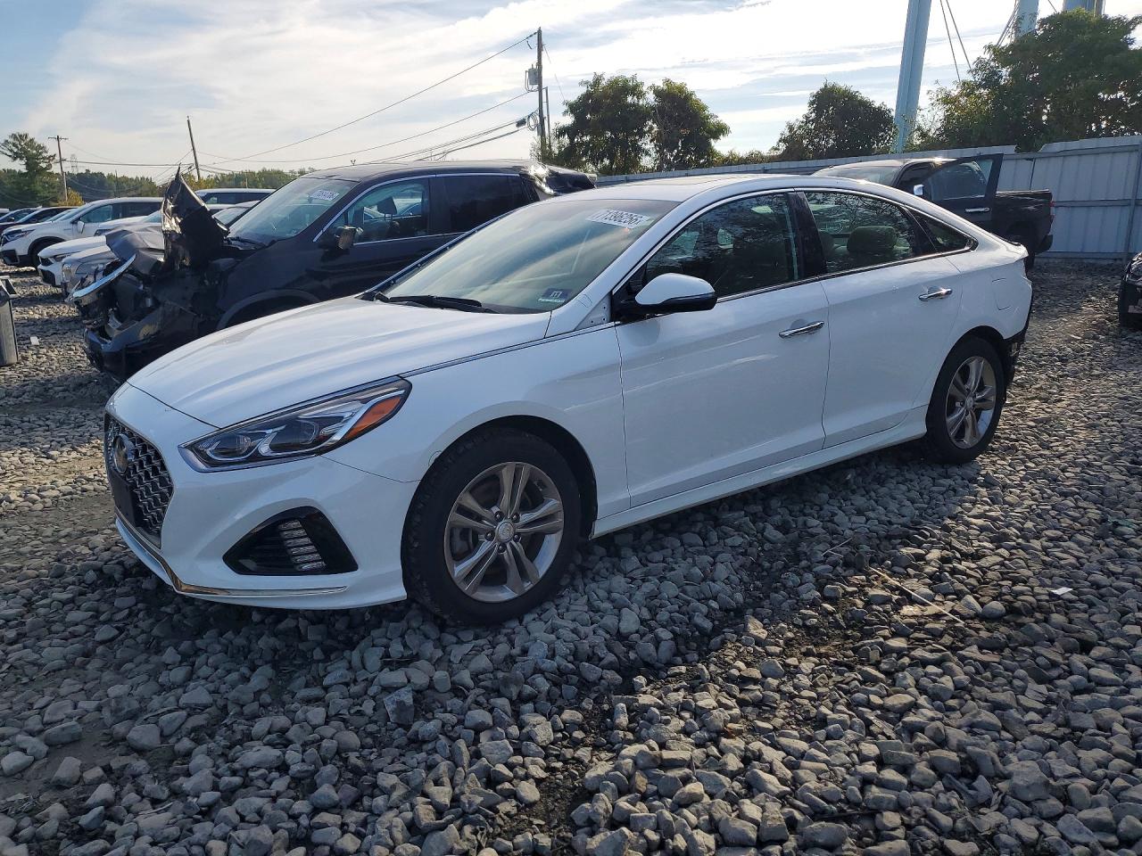 2019 HYUNDAI SONATA LIMITED | 5NPE34AF8KH815396 | UPCARS