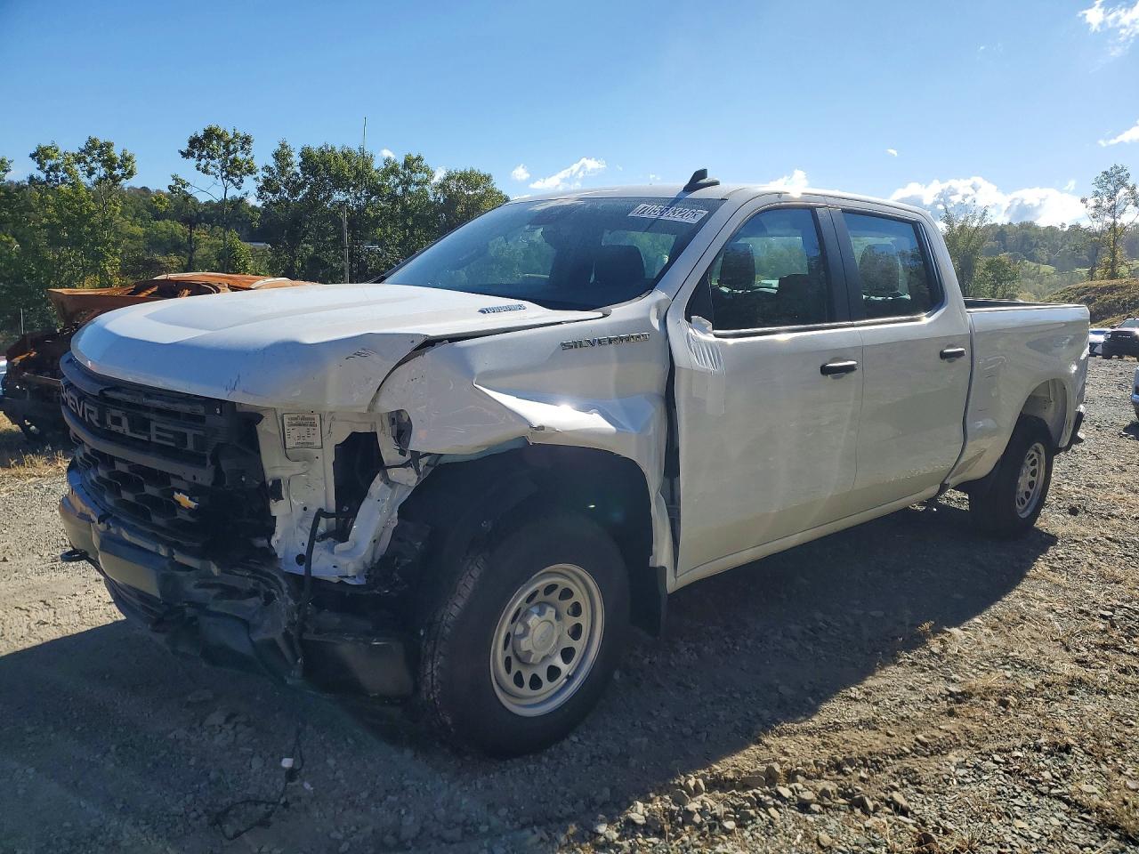 2026 CHEVROLET SILVERADO C1500 | 3GCPAAEK4TG317498 | UPCARS