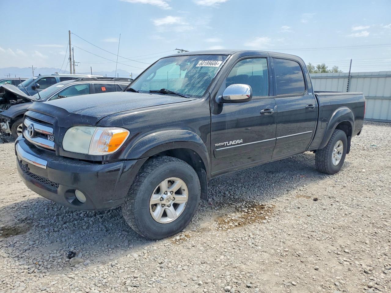 2006 TOYOTA TUNDRA | 5TBDT44116S531466 | UPCARS