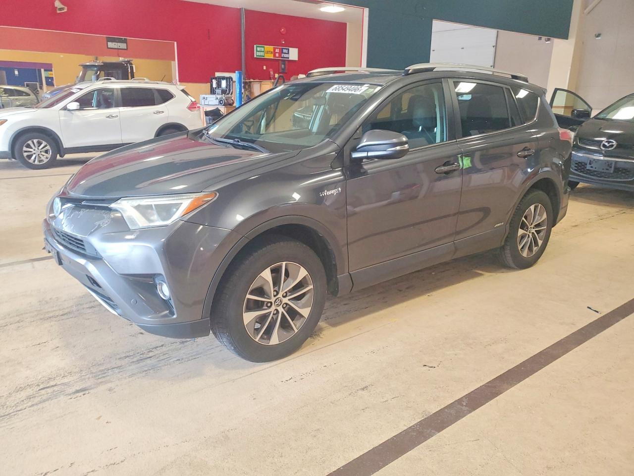 2016 TOYOTA RAV4 XLE | JTMRJREV1GD000380 | UPCARS