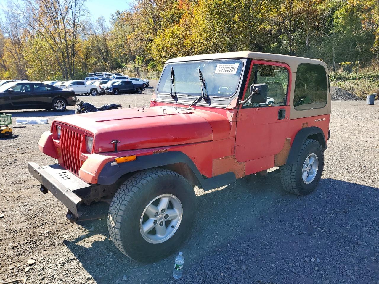 1991 JEEP WRANGLER | 2J4FY19P8MJ121131 | UPCARS