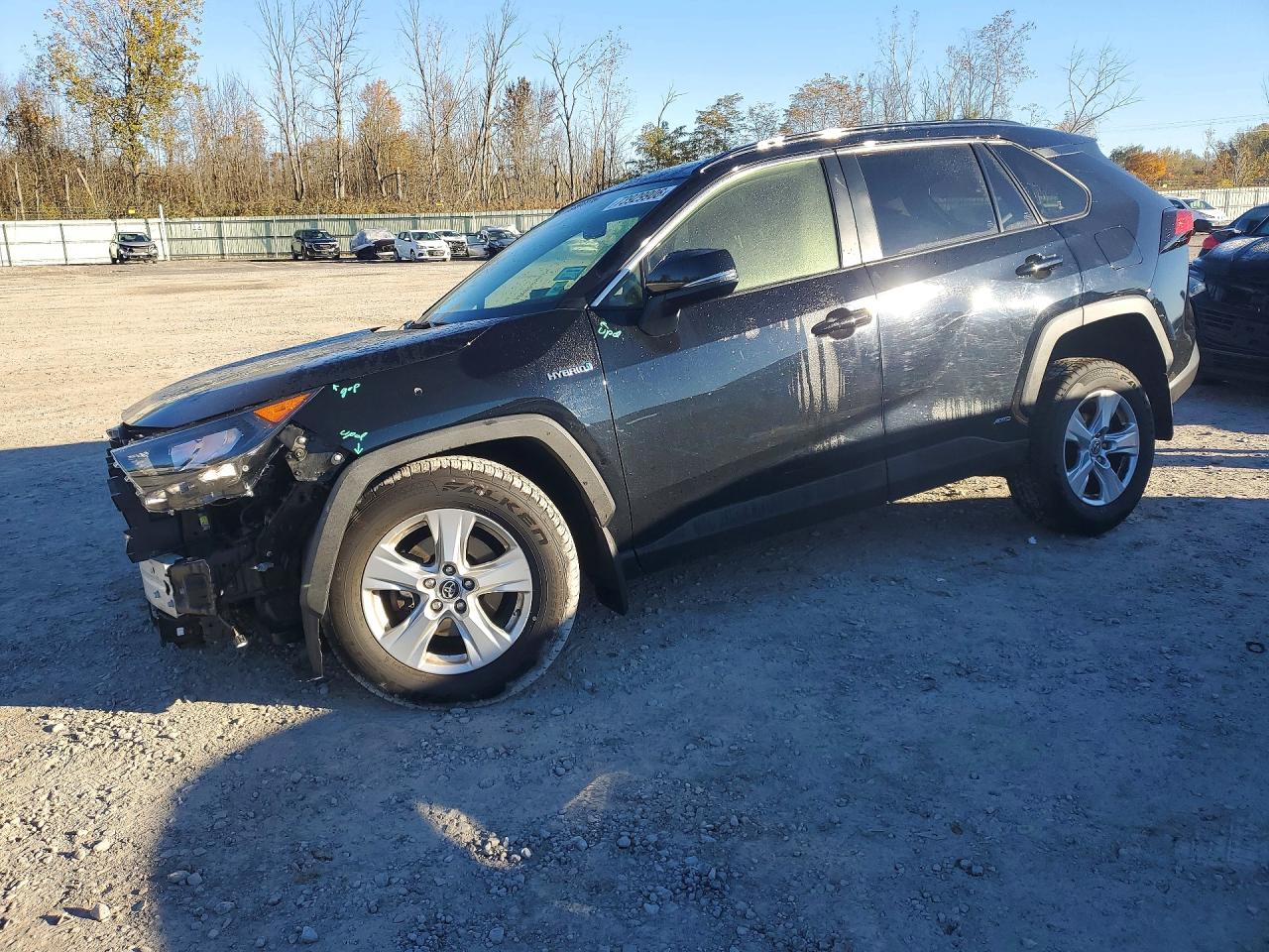 2019 TOYOTA RAV4 LE | JTMMWRFV2KD518758 | UPCARS