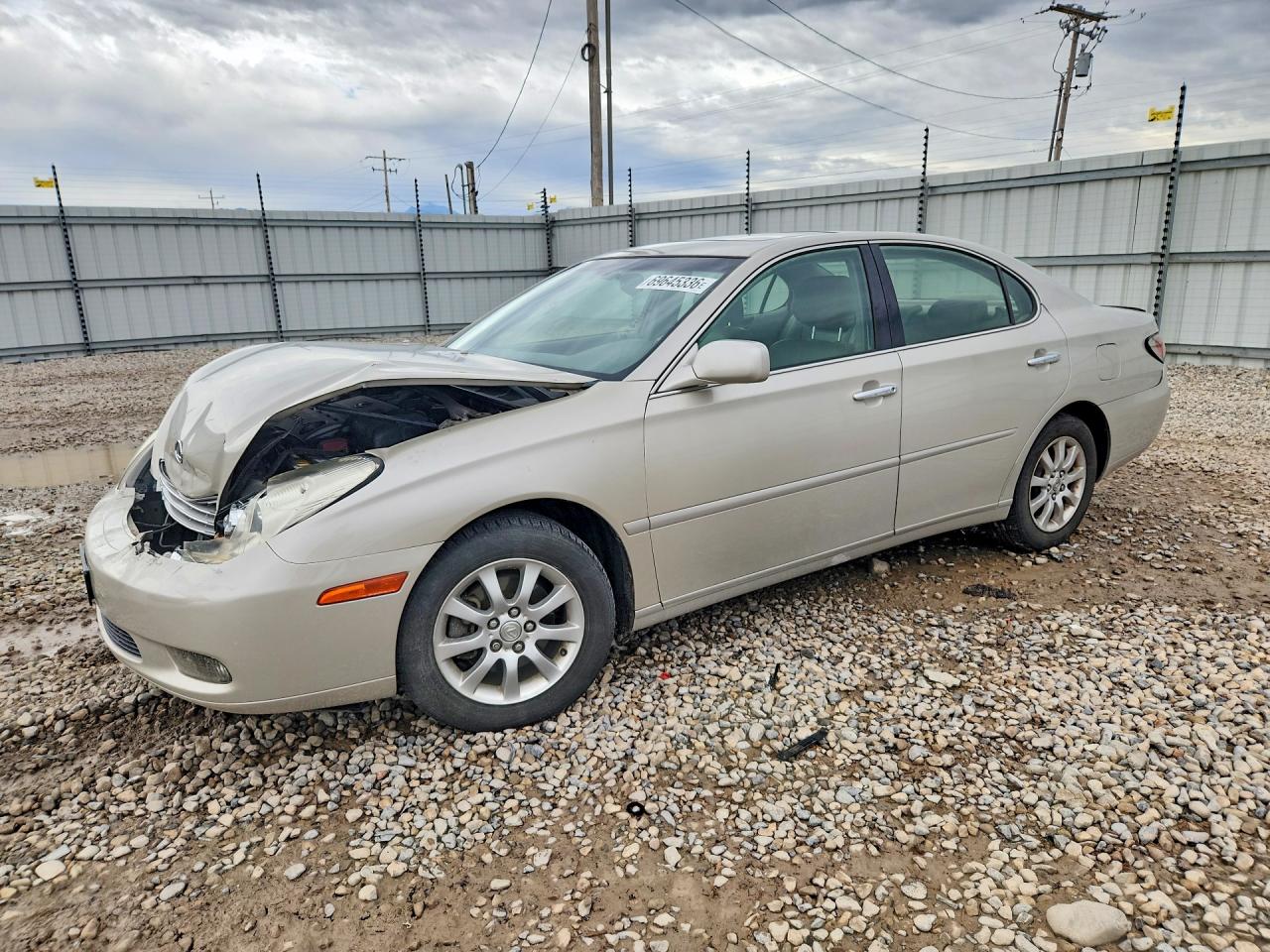 2002 LEXUS ES 300 | JTHBF30G125025578 | UPCARS