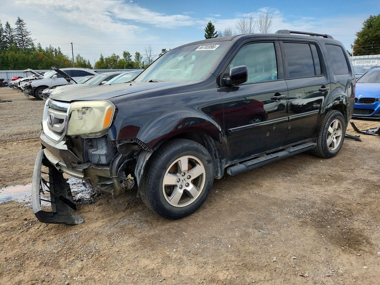 2011 HONDA PILOT EXL | 5FNYF4H53BB506659 | UPCARS