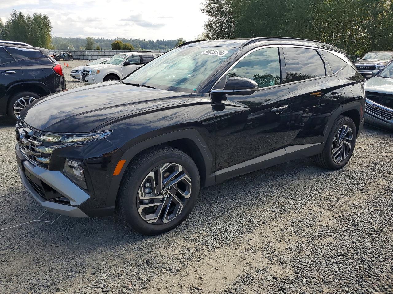 2025 HYUNDAI TUCSON LIMITED | KM8JEDD15SU255590 | UPCARS