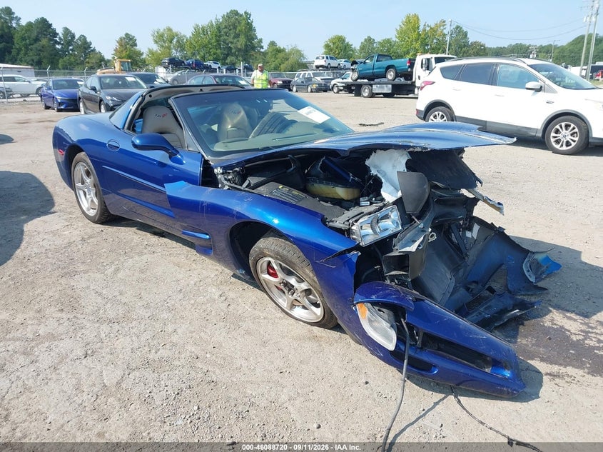 2004 CHEVROLET CORVETTE | 1G1YY22G545115177 | UPCARS