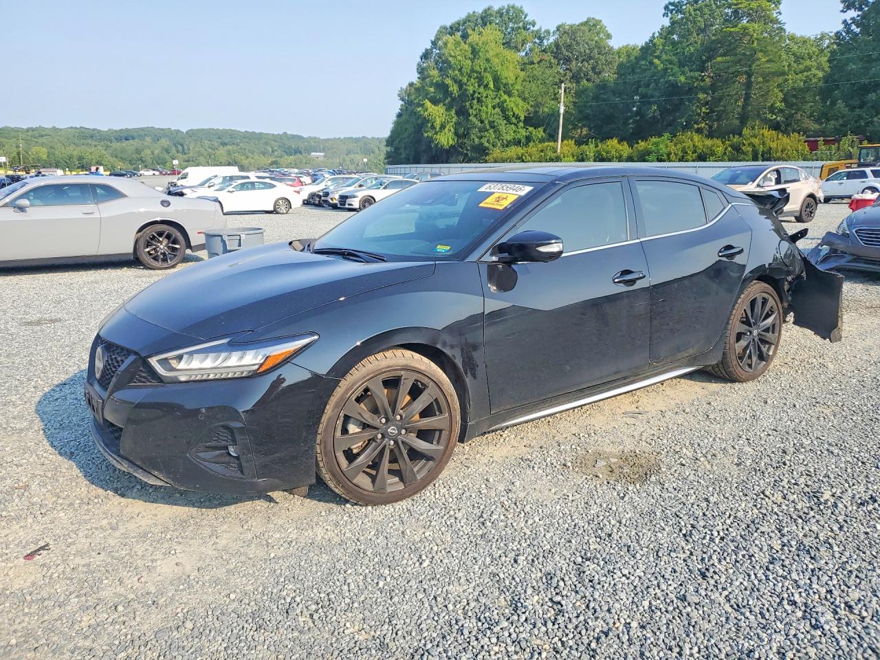 2023 NISSAN MAXIMA SR | 1N4AA6EVXPC506281 | UPCARS