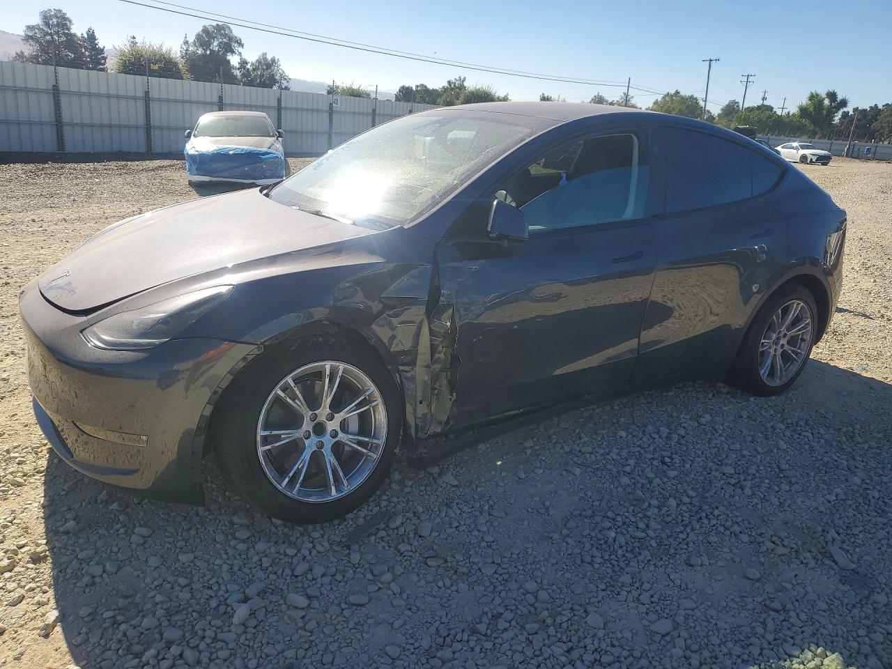 2023 TESLA MODEL Y | 7SAYGDED3PF976581 | UPCARS