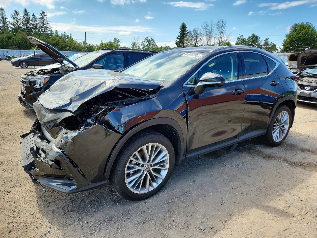2025 LEXUS NX 350 PREMIUM | 2T2GGCEZ3SC085245 | UPCARS