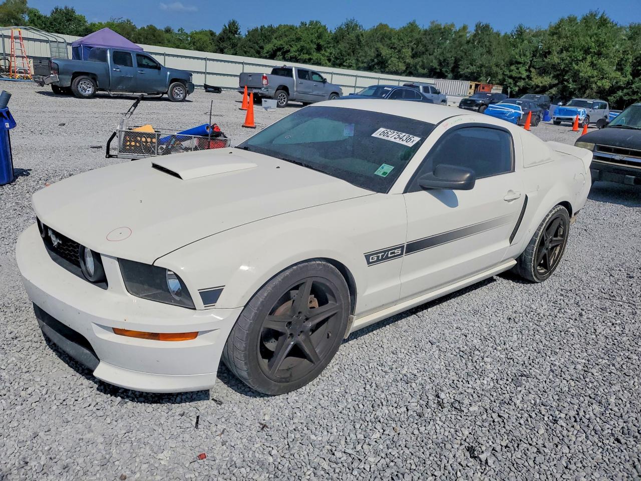 2009 FORD MUSTAN GT | 1ZVHT82H795128454 | UPCARS