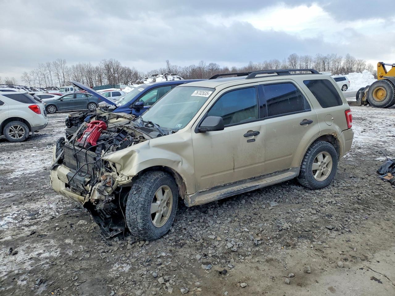 2011 FORD ESCAPE XLT | 1FMCU9DG3BKA78207 | UPCARS