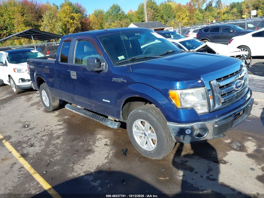 2011 FORD F-150 XLT | 1FTFX1ET8BFC82208 | UPCARS