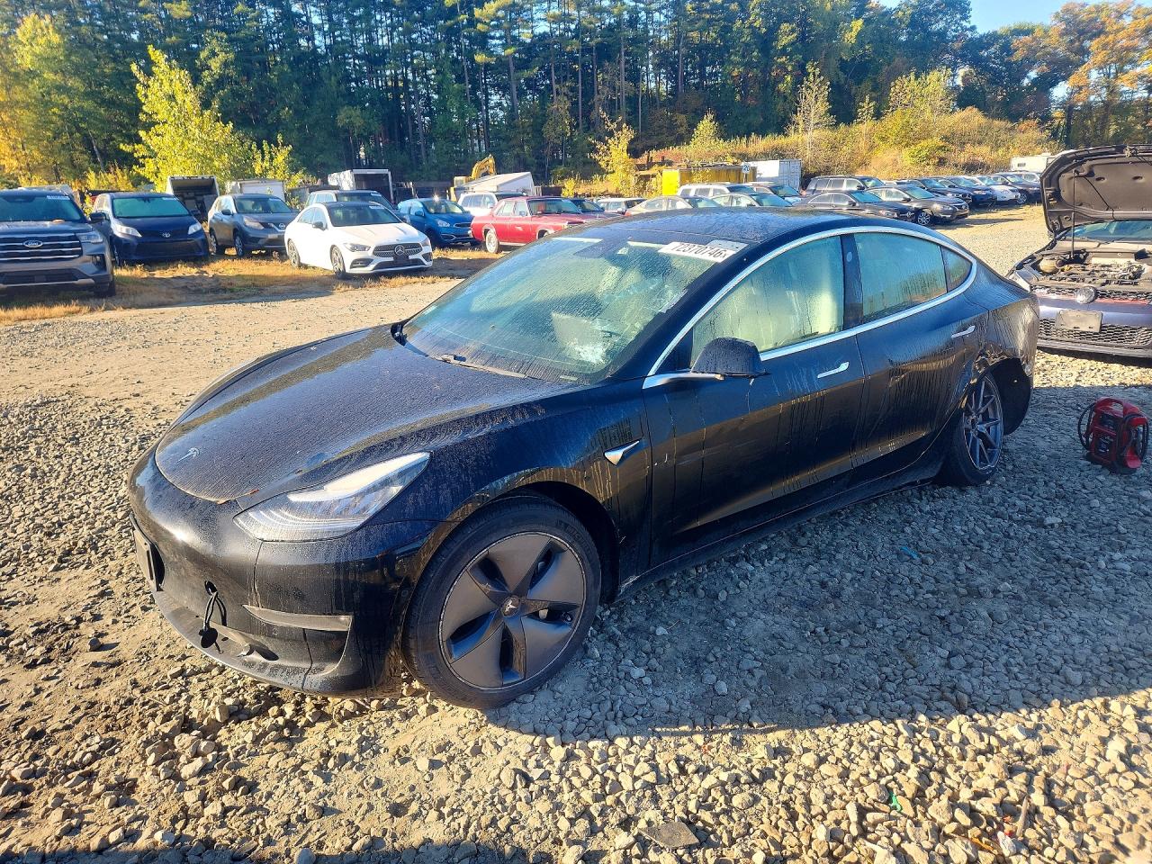 2019 TESLA MODEL 3 | 5YJ3E1EA3KF397777 | UPCARS