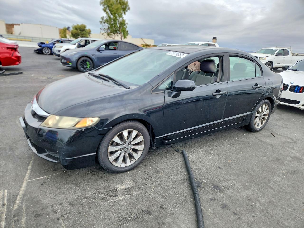 2009 HONDA CIVIC EX | 19XFA16849E029130 | UPCARS