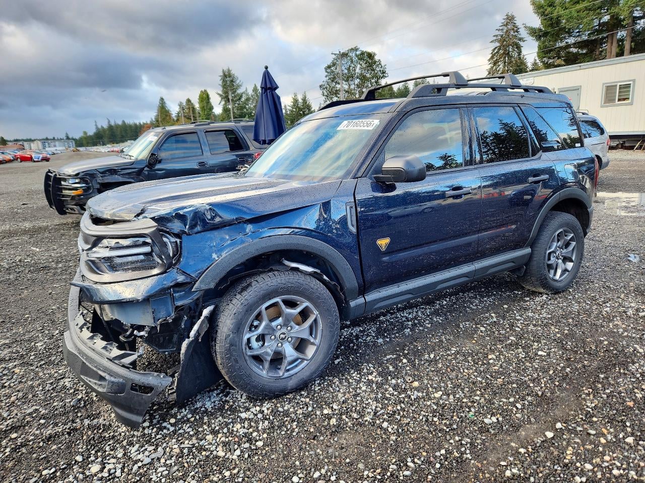2021 FORD BRONCO BADLANDS | 3FMCR9D9XMRA66735 | UPCARS