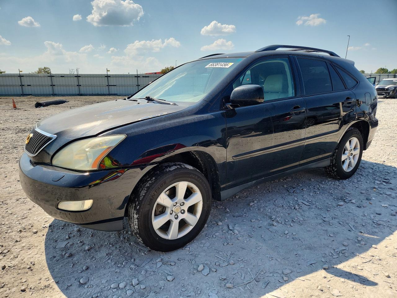 2004 LEXUS RX 330 | 2T2HA31U04C015124 | UPCARS