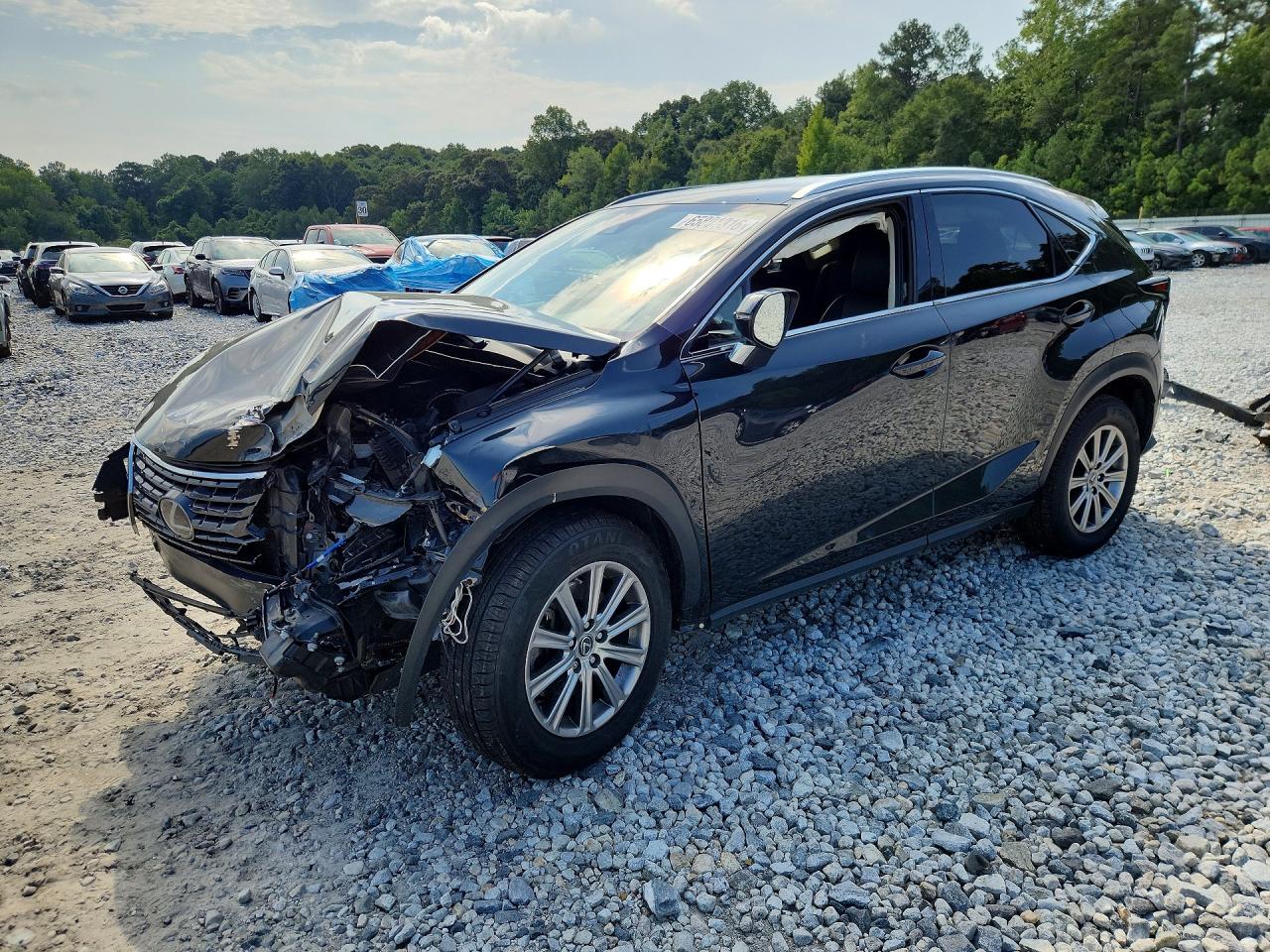2020 LEXUS NX 300 | JTJDARBZ5L2177289 | UPCARS