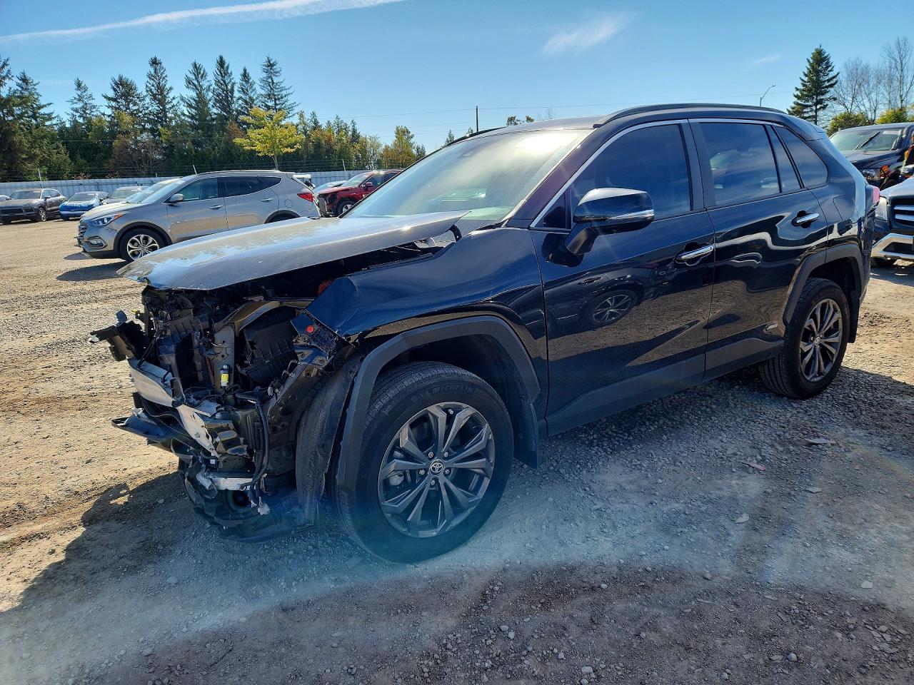 2023 TOYOTA RAV4 LIMITED | 2T3DWRFVXPW184392 | UPCARS