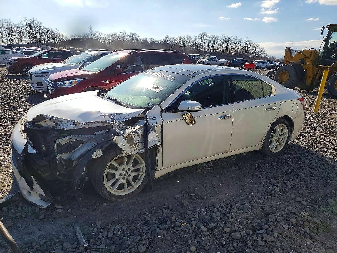2010 NISSAN MAXIMA | 1N4AA5AP5AC860945 | UPCARS