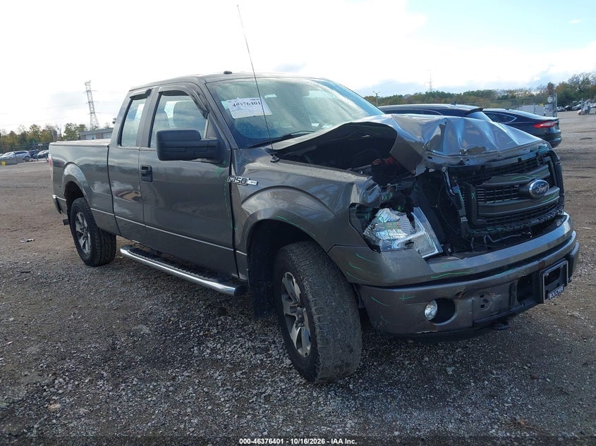 2013 FORD F-150 STX | 1FTFX1EF7DKG42895 | UPCARS