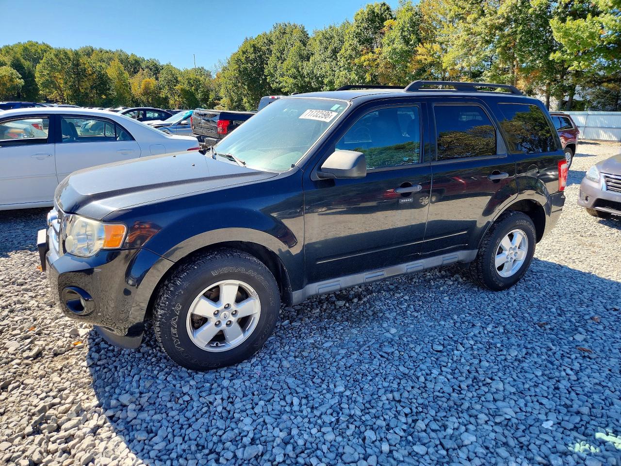 2010 FORD ESCAPE XLT | 1FMCU9DG7AKC65674 | UPCARS