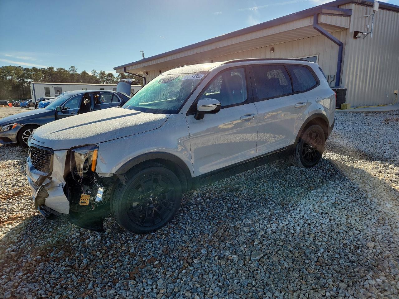 2022 KIA TELLURID EX | 5XYP3DHC8NG241835 | UPCARS
