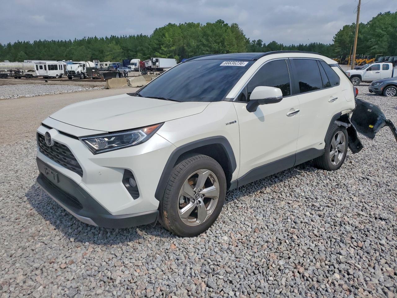 2019 TOYOTA RAV4 LIMITED | JTMDWRFV5KD510721 | UPCARS