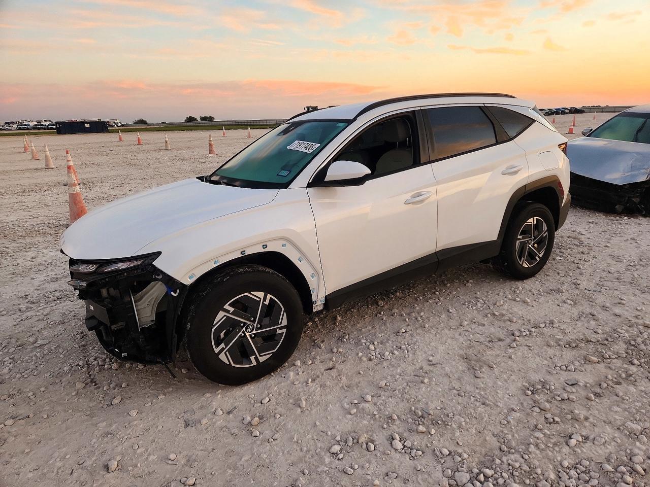 2025 HYUNDAI TUCSON BLUE | KM8JBDD1XSU285208 | UPCARS