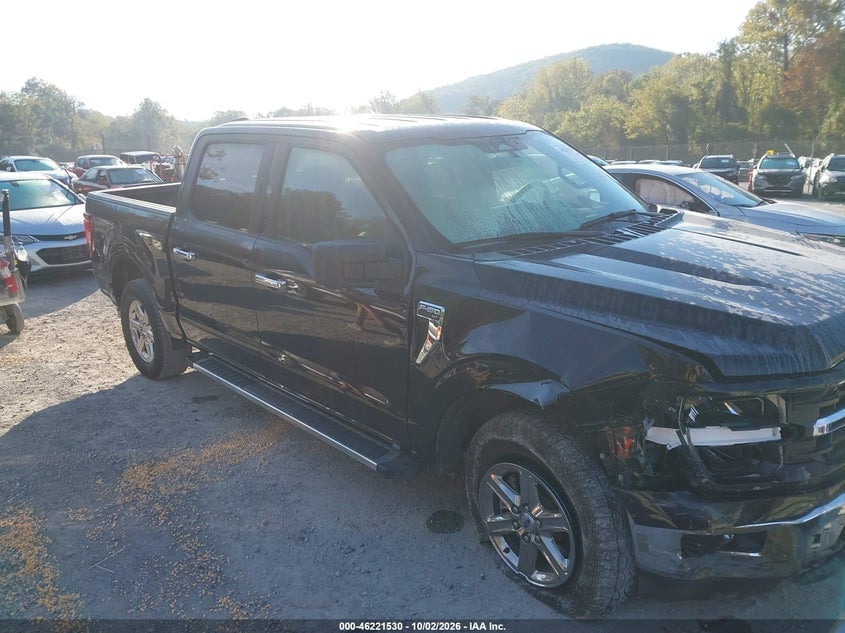 2025 FORD F-150 XLT | 1FTFW3L50SKE55634 | UPCARS
