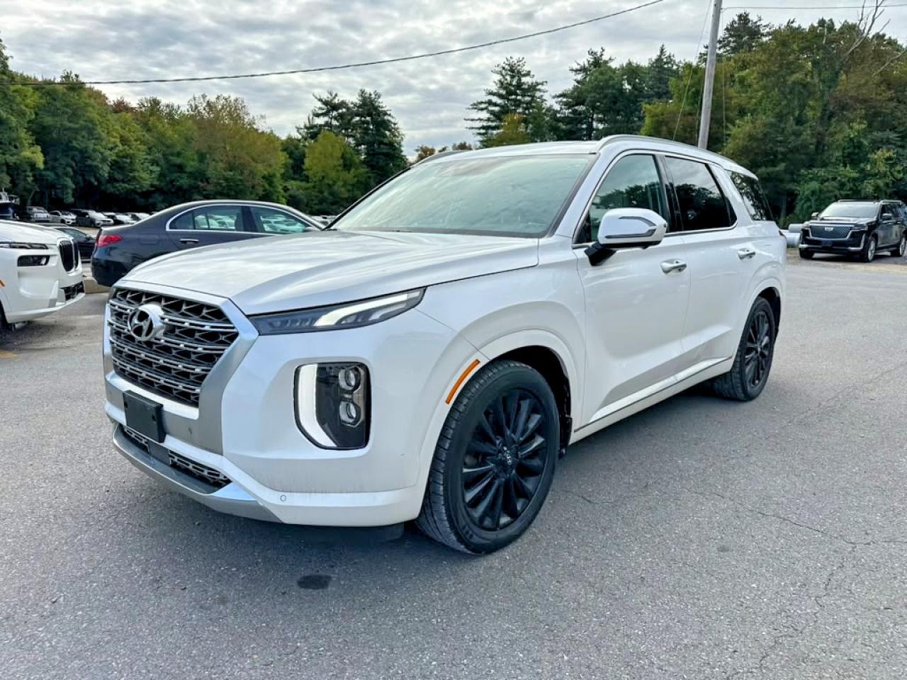 2020 HYUNDAI PALISADE LIMITED | KM8R5DHE1LU107910 | UPCARS