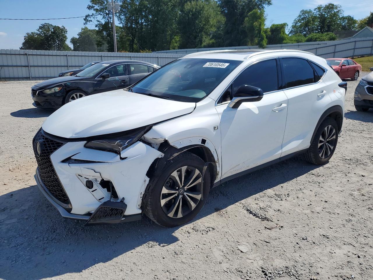 2019 LEXUS NX F SPORT | JTJBARBZ0K2209605 | UPCARS