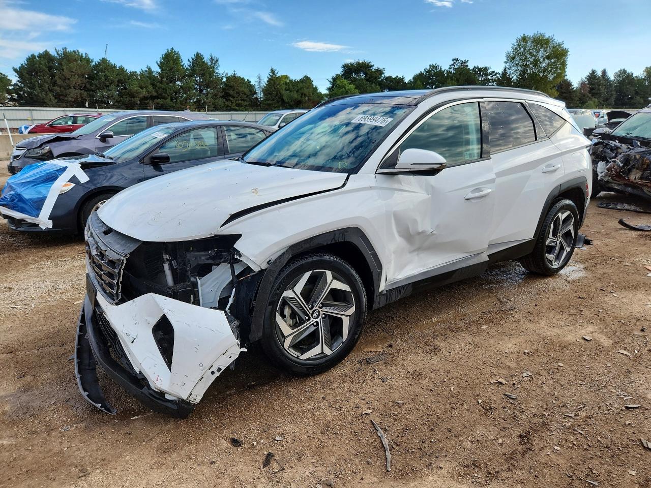 2024 HYUNDAI TUCSON LIMITED | 5NMJECDE6RH330395 | UPCARS