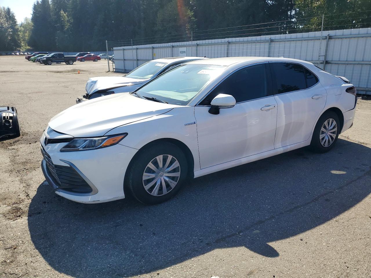 2021 TOYOTA CAMRY LE | 4T1C31AK5MU022659 | UPCARS