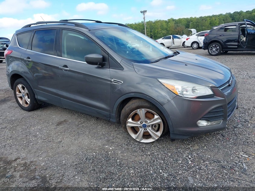2013 FORD ESCAPE SE | 1FMCU0G94DUC07829 | UPCARS
