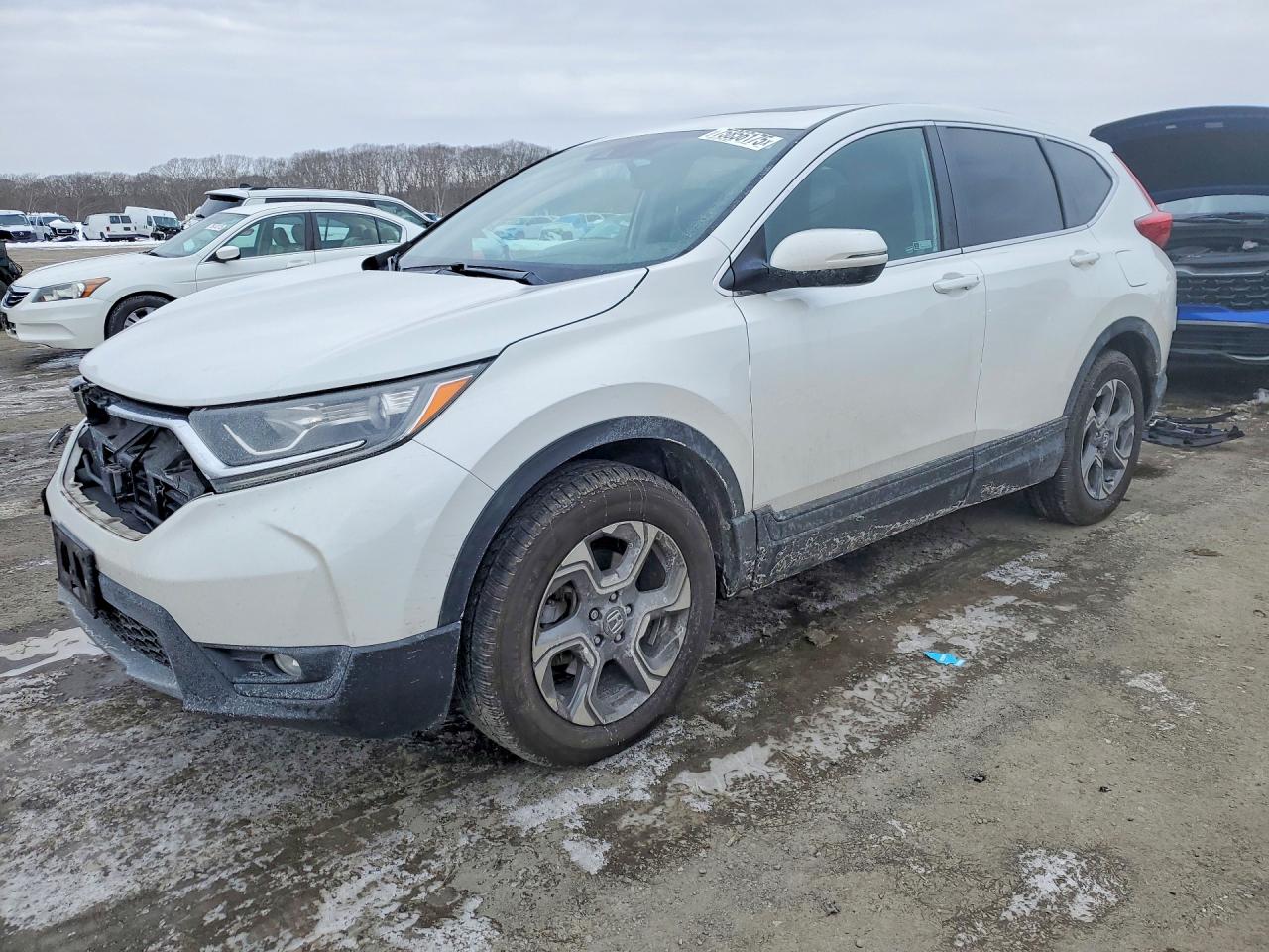 2019 HONDA CRV EXL | 2HKRW2H80KH657186 | UPCARS