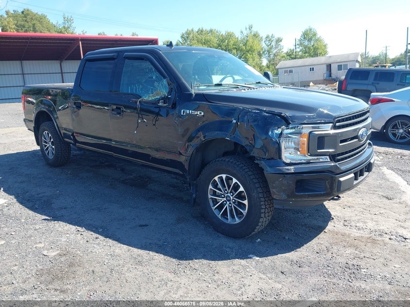2019 FORD F-150 XLT | 1FTFW1E41KKC05943 | UPCARS