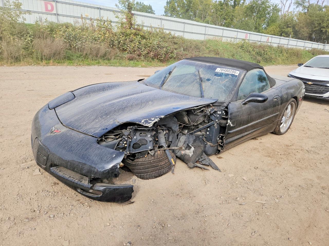 2002 CHEVROLET CORVETTE | 1G1YY32G025126168 | UPCARS