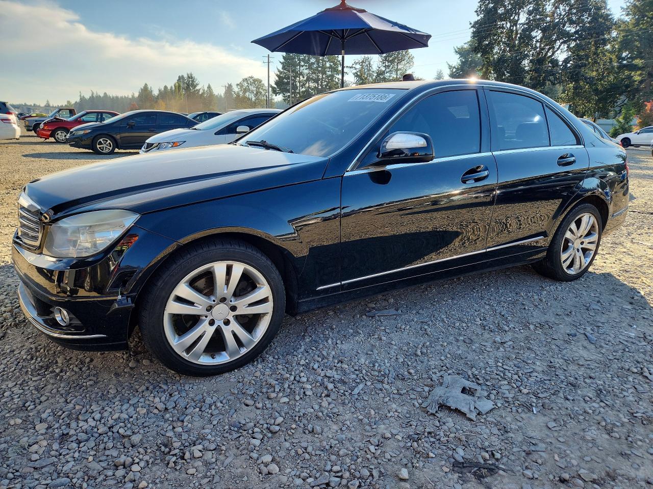 2008 MERCEDES-BENZ C-CLASS 300 | WDDGF54X08F165420 | UPCARS
