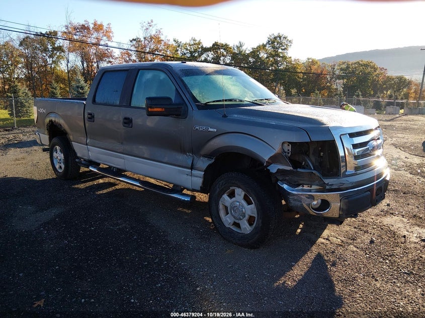 2009 FORD F-150 XL/XLT | 1FTRW14869FA69796 | UPCARS