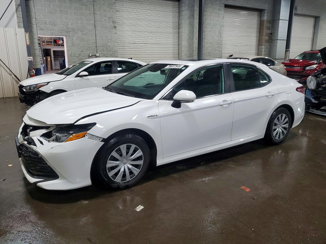 2019 TOYOTA CAMRY SOLA LE | 4T1B31HK8KU513354 | UPCARS