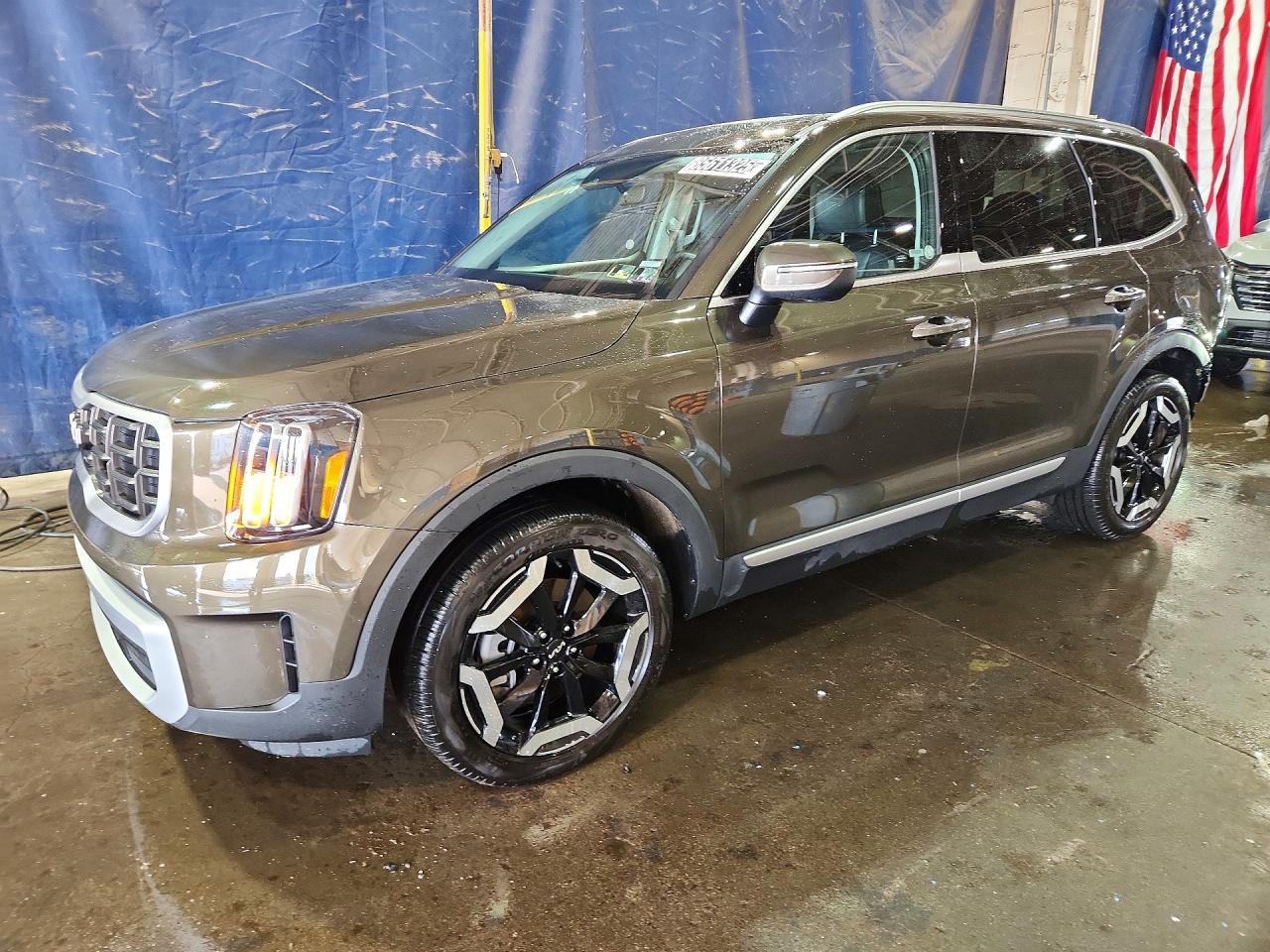 2025 KIA TELLURIDE S | 5XYP6DGC2SG689945 | UPCARS