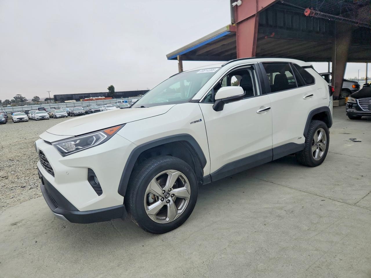 2019 TOYOTA RAV4 LIMITED | 2T3DWRFV6KW043408 | UPCARS
