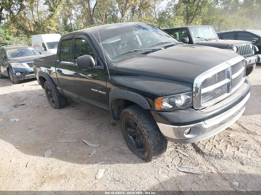 2002 DODGE RAM 1500 ST | 1B7HU18ZX2J106677 | UPCARS