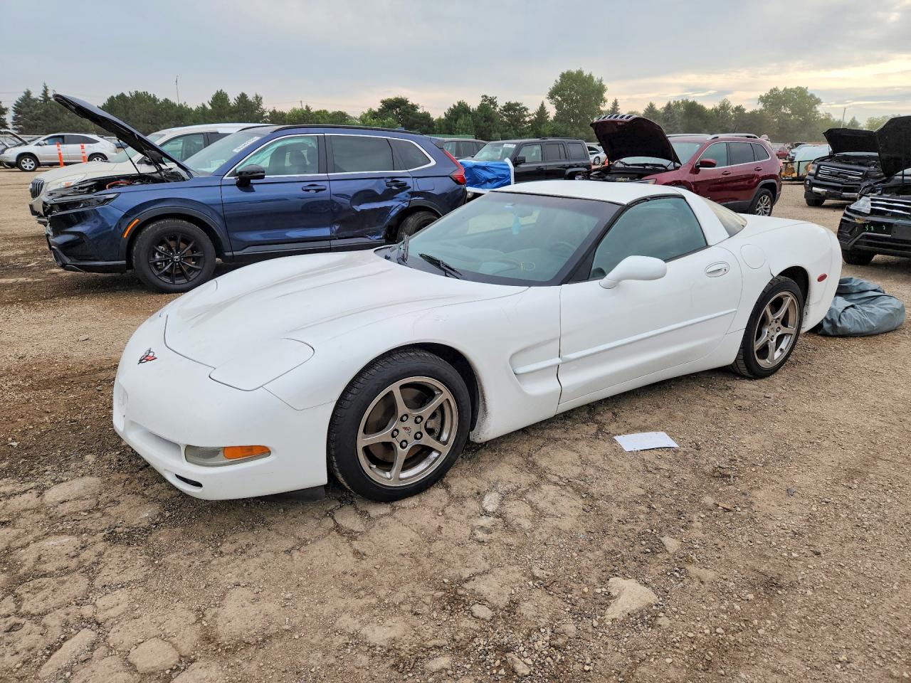 2004 CHEVROLET CORVETTE | 1G1YY22G445110312 | UPCARS