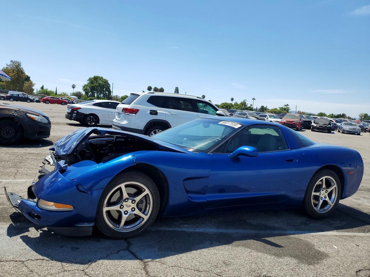 2002 CHEVROLET CORVETTE | 1G1YY22G825133198 | UPCARS