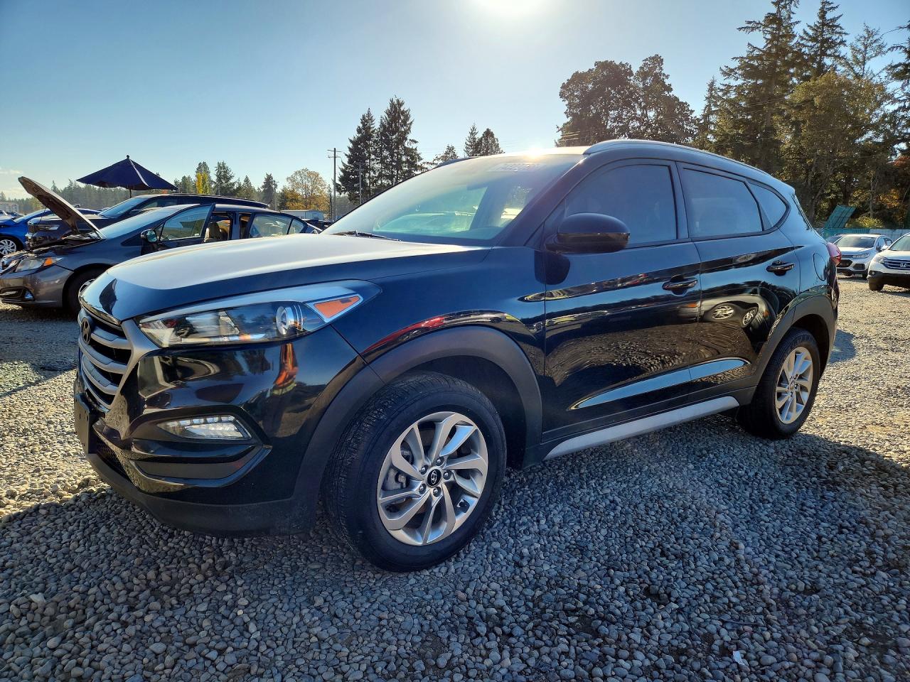 2017 HYUNDAI TUCSON SE | KM8J33A4XHU446655 | UPCARS