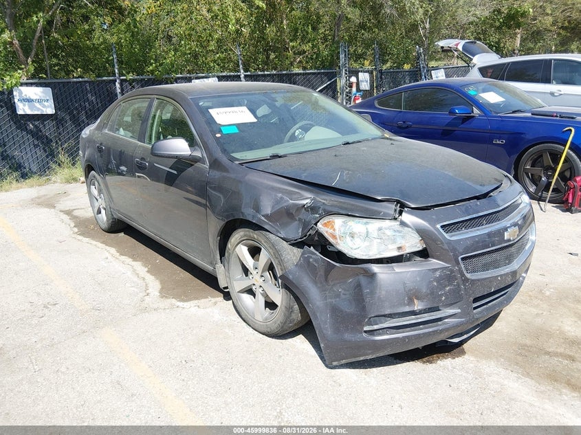 2011 CHEVROLET MALIBU 1LT | 1G1ZC5E19BF201305 | UPCARS