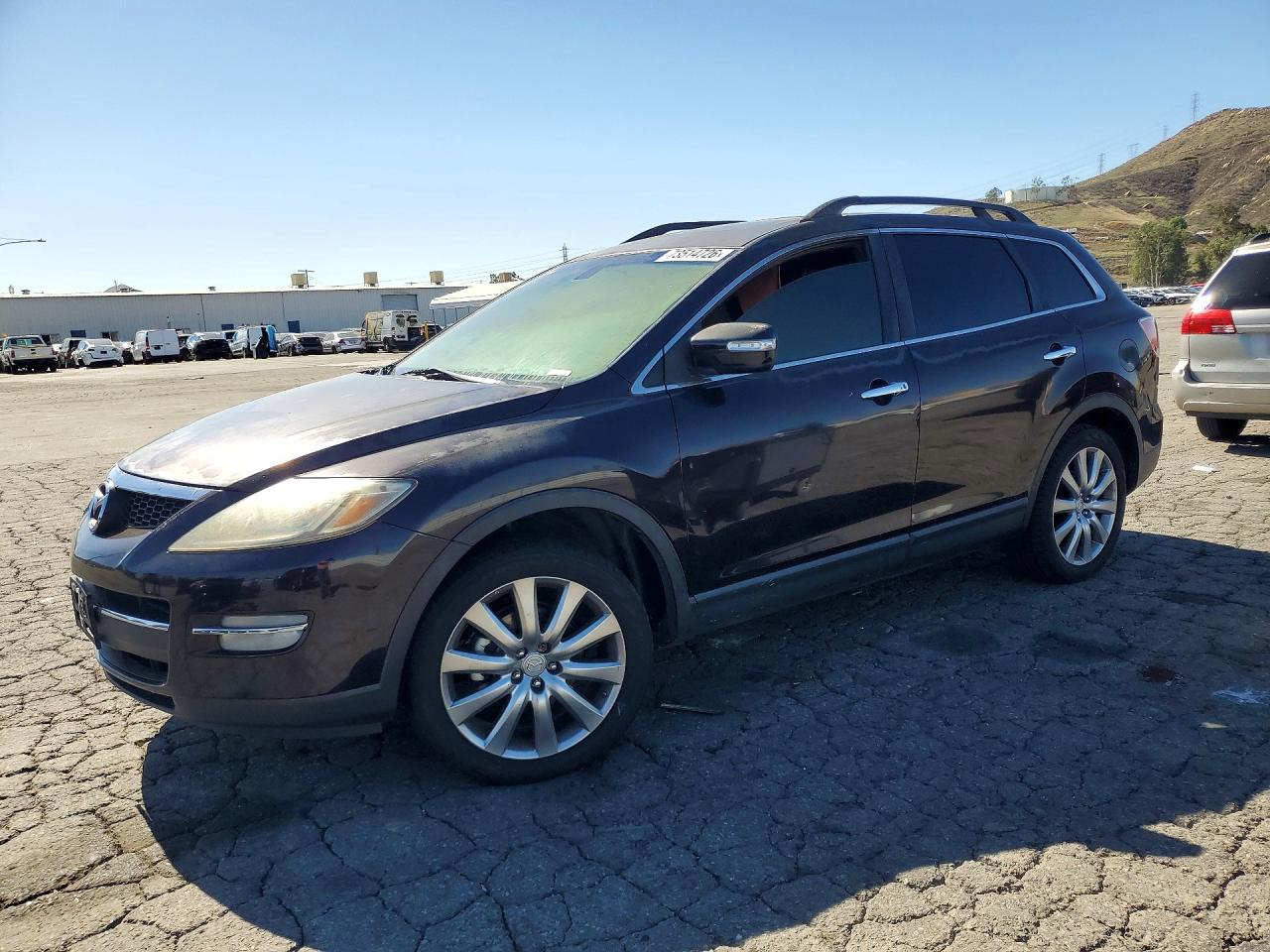 2009 MAZDA CX-9 | JM3TB28VX90173063 | UPCARS