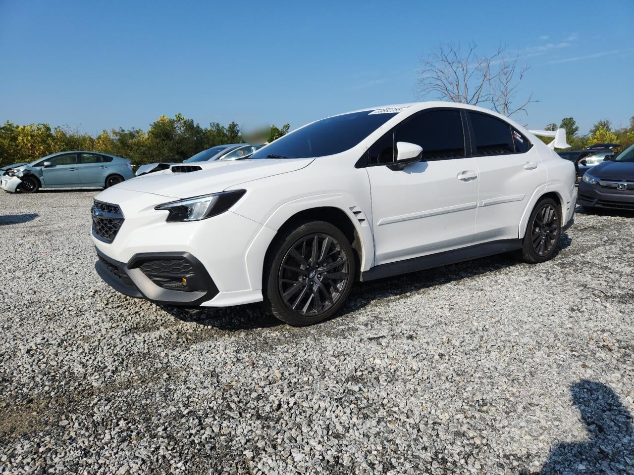 2024 SUBARU WRX PREMIUM | JF1VBAH61R9804918 | UPCARS
