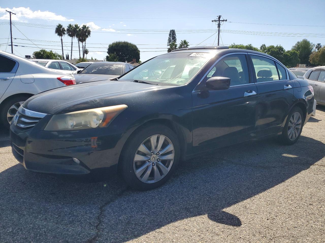 2011 HONDA ACCORD EXL | 1HGCP3F88BA014427 | UPCARS